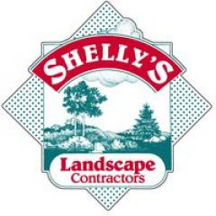 Shelly's Landscape (1366420)